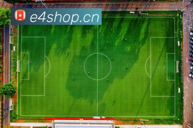 开云「中国」Kaiyun·官方网站 - 国内一流技术服务商平台生态图